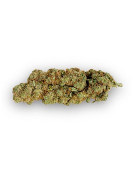 Fleurs de CBD - Amnesia